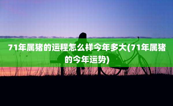 71年属猪的运程怎么样今年多大(71年属猪的今年运势)