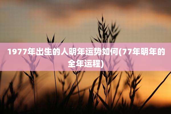 1977年出生的人明年运势如何(77年明年的全年运程)
