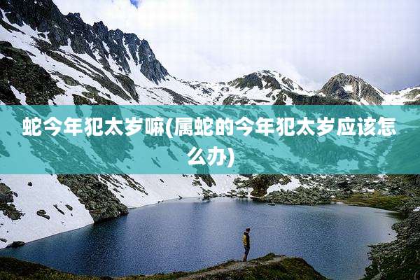 蛇今年犯太岁嘛(属蛇的今年犯太岁应该怎么办)
