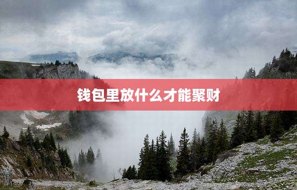 钱包里放什么才能聚财