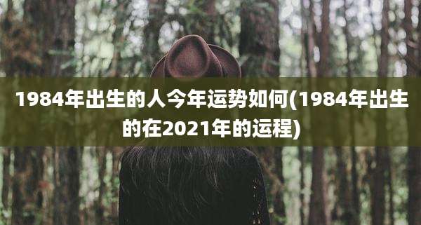 1984年出生的人今年运势如何(1984年出生的在2021年的运程)