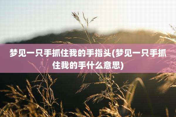 梦见一只手抓住我的手指头(梦见一只手抓住我的手什么意思)