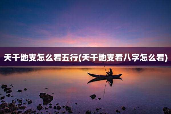 天干地支怎么看五行(天干地支看八字怎么看)