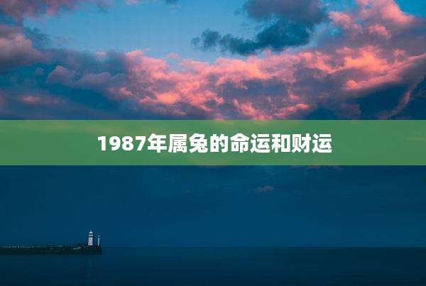 1987年属兔的命运和财运