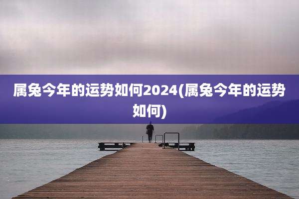 属兔今年的运势如何2024(属兔今年的运势如何)