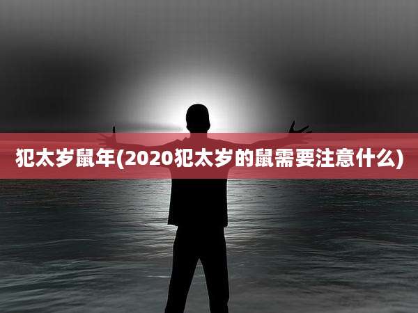 犯太岁鼠年(2020犯太岁的鼠需要注意什么)