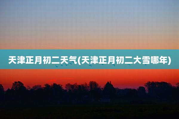 天津正月初二天气(天津正月初二大雪哪年)