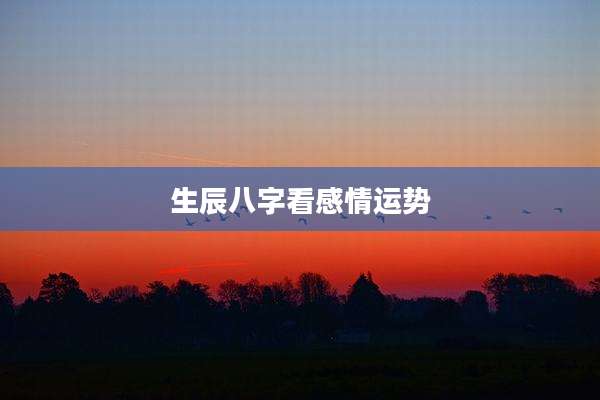 生辰八字看感情运势
