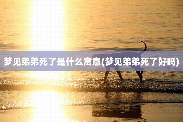 梦见弟弟死了是什么寓意(梦见弟弟死了好吗)