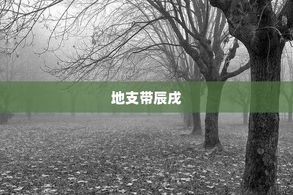 地支带辰戌
