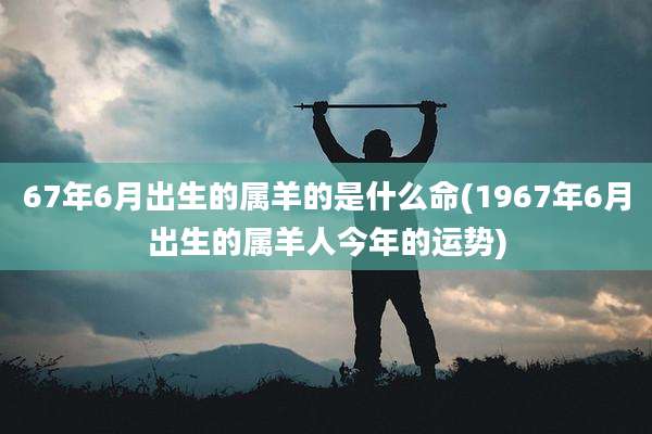 67年6月出生的属羊的是什么命(1967年6月出生的属羊人今年的运势)