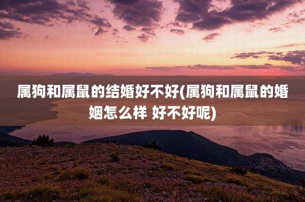 属狗和属鼠的结婚好不好(属狗和属鼠的婚姻怎么样 好不好呢)