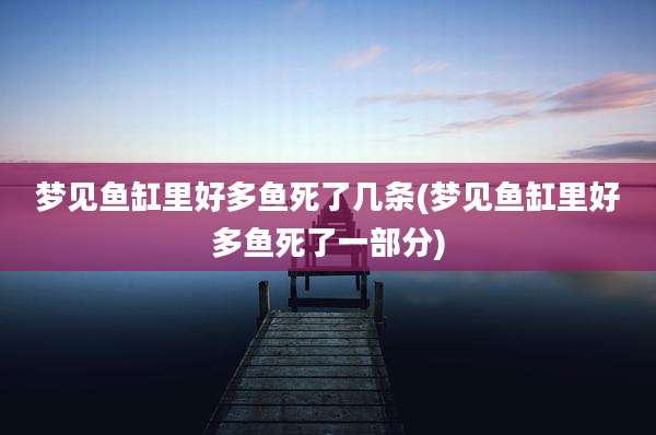 梦见鱼缸里好多鱼死了几条(梦见鱼缸里好多鱼死了一部分)