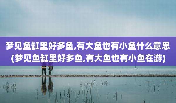 梦见鱼缸里好多鱼,有大鱼也有小鱼什么意思(梦见鱼缸里好多鱼,有大鱼也有小鱼在游)
