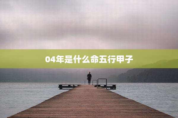 04年是什么命五行甲子
