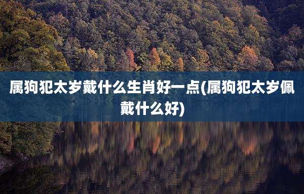 属狗犯太岁戴什么生肖好一点(属狗犯太岁佩戴什么好)