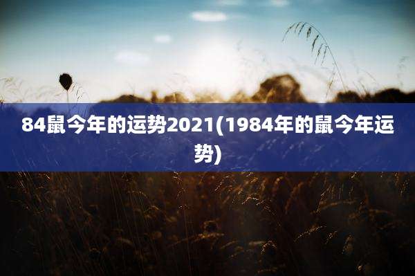 84鼠今年的运势2021(1984年的鼠今年运势)