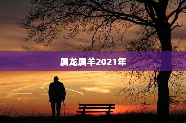 属龙属羊2021年