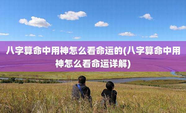 八字算命中用神怎么看命运的(八字算命中用神怎么看命运详解)