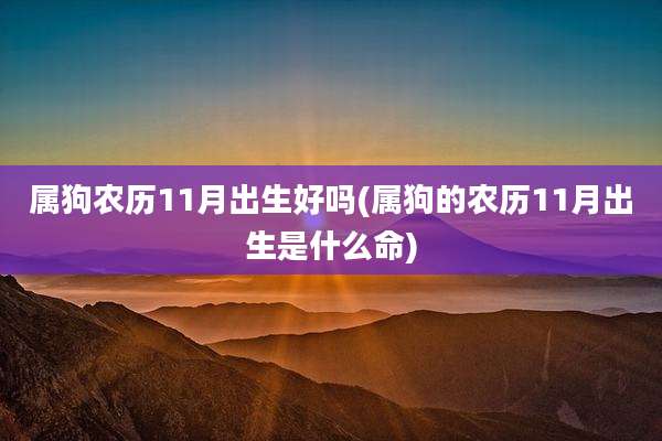 属狗农历11月出生好吗(属狗的农历11月出生是什么命)