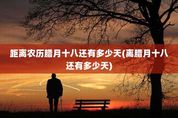 距离农历腊月十八还有多少天(离腊月十八还有多少天)