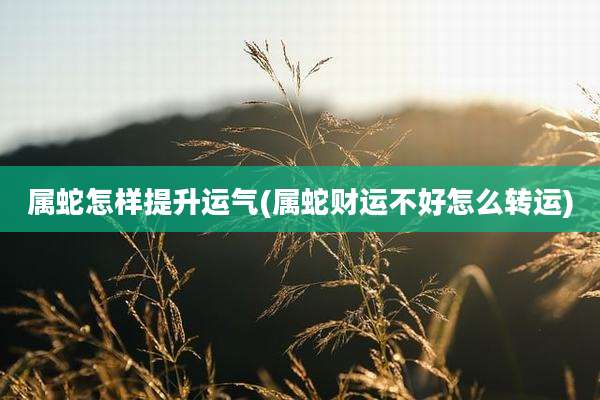属蛇怎样提升运气(属蛇财运不好怎么转运)