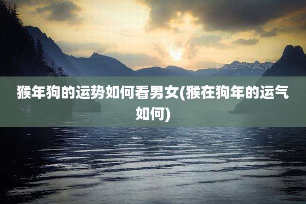 猴年狗的运势如何看男女(猴在狗年的运气如何)