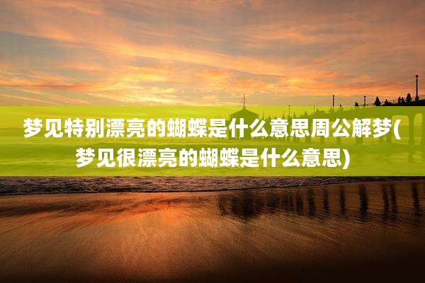 梦见特别漂亮的蝴蝶是什么意思周公解梦(梦见很漂亮的蝴蝶是什么意思)