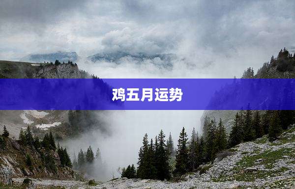 鸡五月运势