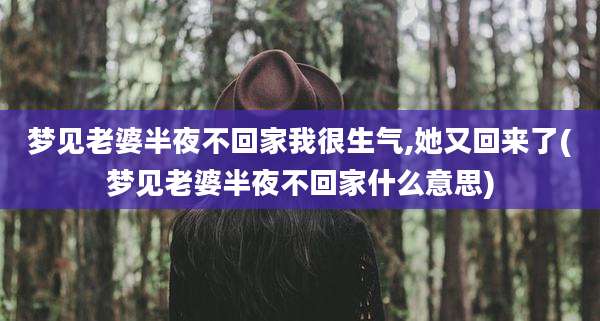 梦见老婆半夜不回家我很生气,她又回来了(梦见老婆半夜不回家什么意思)