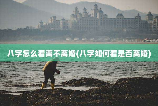 八字怎么看离不离婚(八字如何看是否离婚)