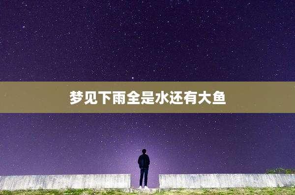 梦见下雨全是水还有大鱼