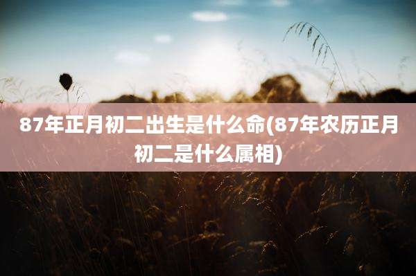 87年正月初二出生是什么命(87年农历正月初二是什么属相)