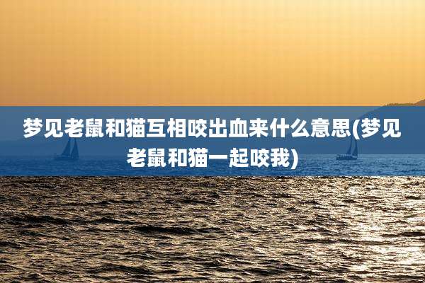 梦见老鼠和猫互相咬出血来什么意思(梦见老鼠和猫一起咬我)