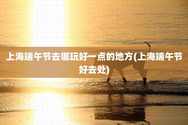 上海端午节去哪玩好一点的地方(上海端午节好去处)
