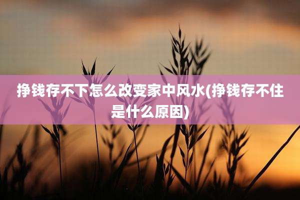 挣钱存不下怎么改变家中风水(挣钱存不住是什么原因)