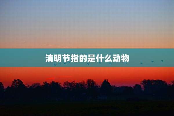 清明节指的是什么动物
