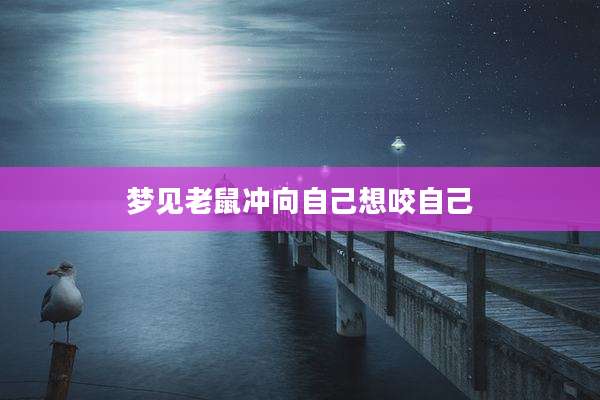 梦见老鼠冲向自己想咬自己