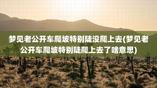 梦见老公开车爬坡特别陡没爬上去(梦见老公开车爬坡特别陡爬上去了啥意思)