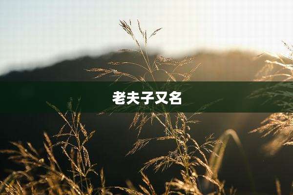 老夫子又名