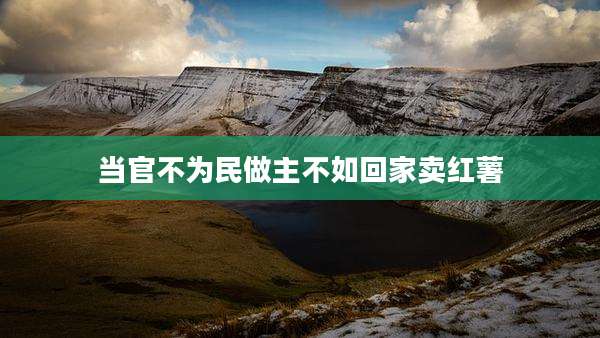 当官不为民做主不如回家卖红薯