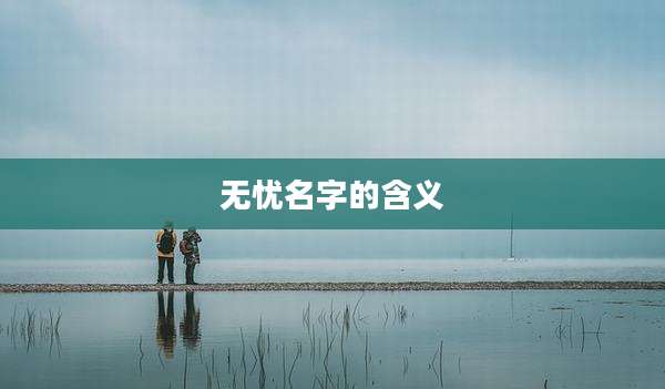 无忧名字的含义