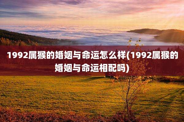1992属猴的婚姻与命运怎么样(1992属猴的婚姻与命运相配吗)