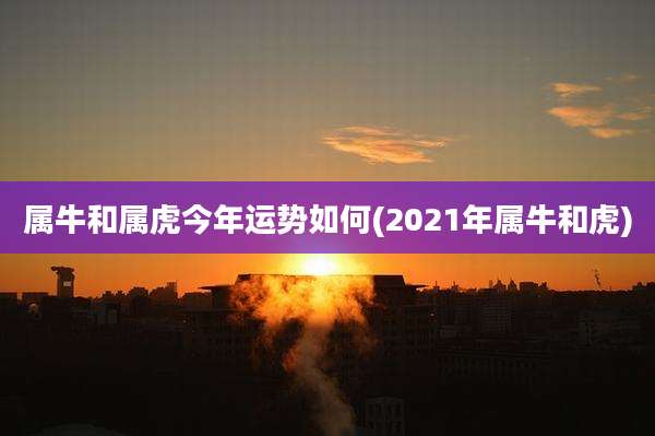 属牛和属虎今年运势如何(2021年属牛和虎)
