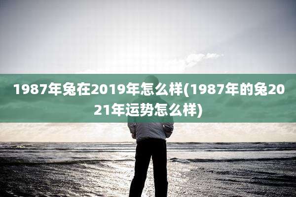 1987年兔在2019年怎么样(1987年的兔2021年运势怎么样)