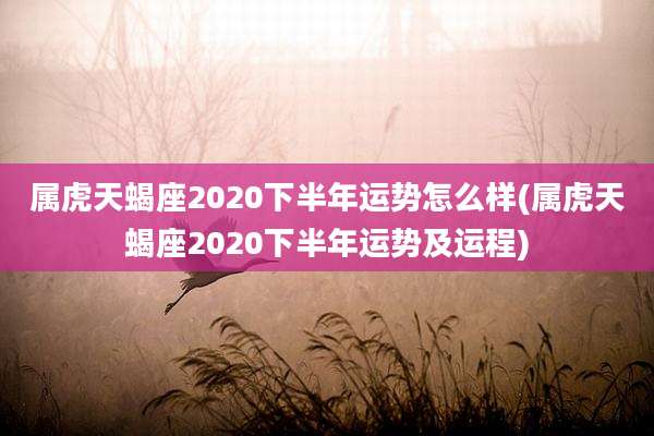 属虎天蝎座2020下半年运势怎么样(属虎天蝎座2020下半年运势及运程)