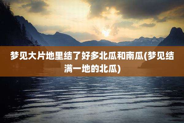 梦见大片地里结了好多北瓜和南瓜(梦见结满一地的北瓜)