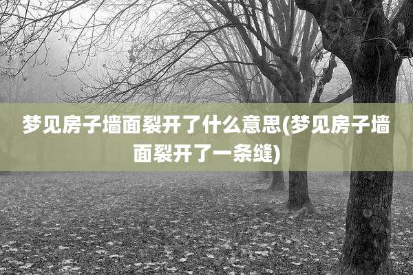 梦见房子墙面裂开了什么意思(梦见房子墙面裂开了一条缝)