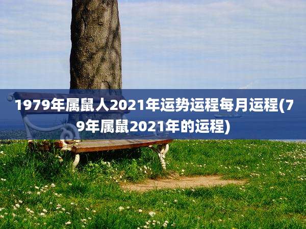 1979年属鼠人2021年运势运程每月运程(79年属鼠2021年的运程)