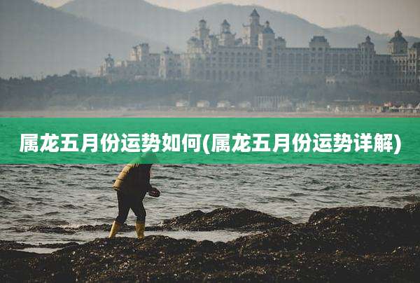 属龙五月份运势如何(属龙五月份运势详解)